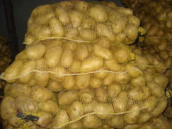 fresh Potatoes