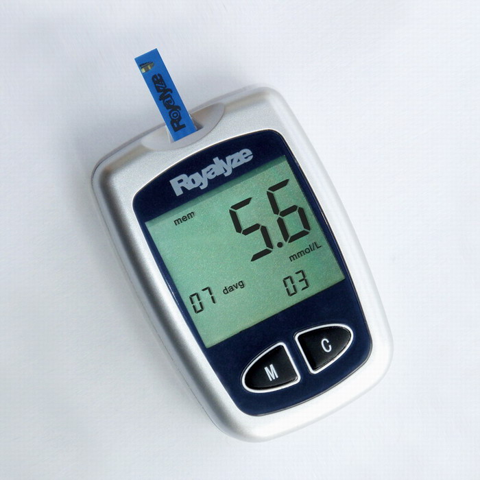 ZH-G01 Blood Glucose Meter