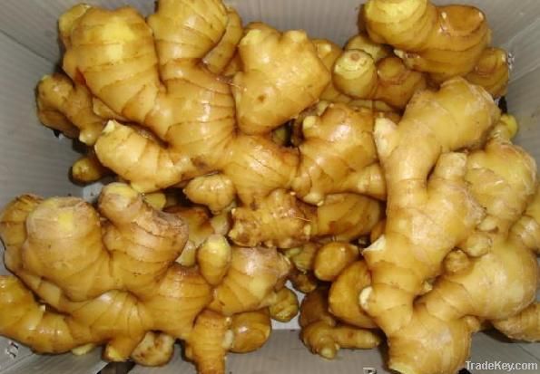 fresh ginger