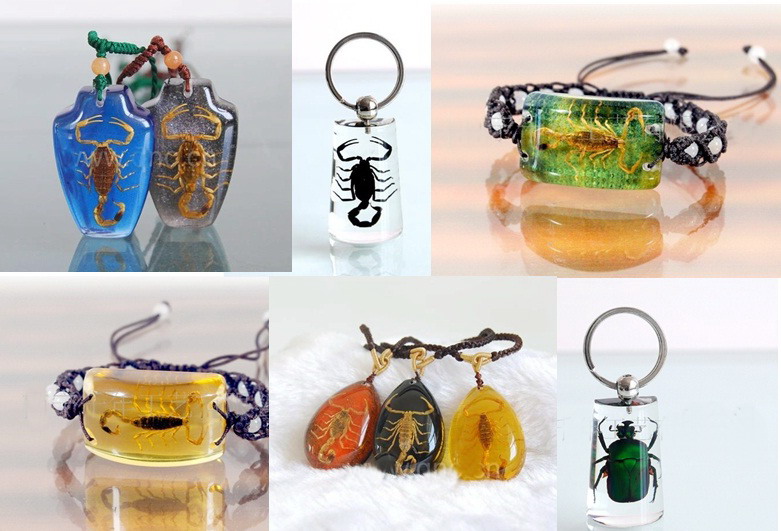 real insect in amber/resin Pendants/bracelet/keychains
