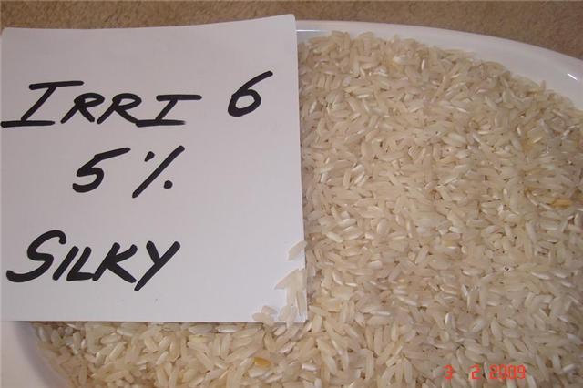 IRRI 6 Rice, Broken 5% - 430US$