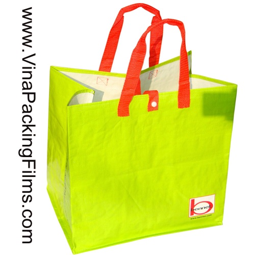 PP Woven Shopping Bags