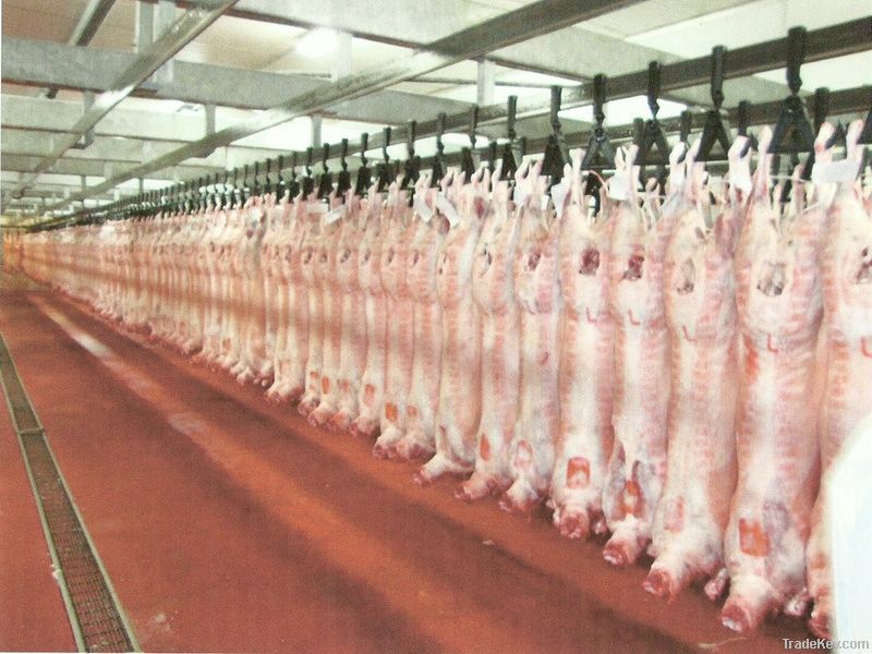 New Zealand halal meat