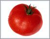 Georgian Tomatoe