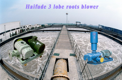 sewage treatment roots blower