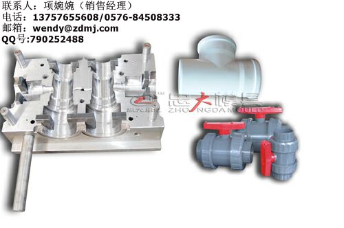 pipe fitting mould/plastic mould/valves mould