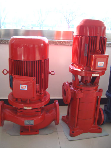 Fire water pump