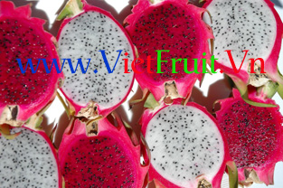 dragon fruit (pitaya)