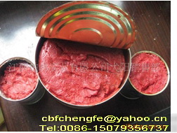 tomato paste