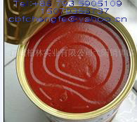 tomato paste/tomato ketchup