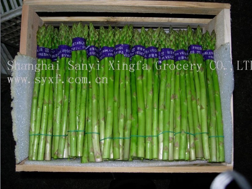 Fresh Asparagus