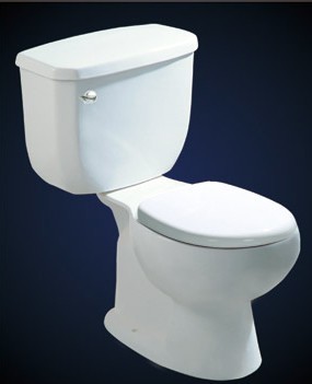 washdown two-piece toilet
