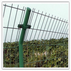 Wire mesh fence