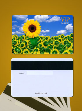 Magnetic card | PVC card | Smart card