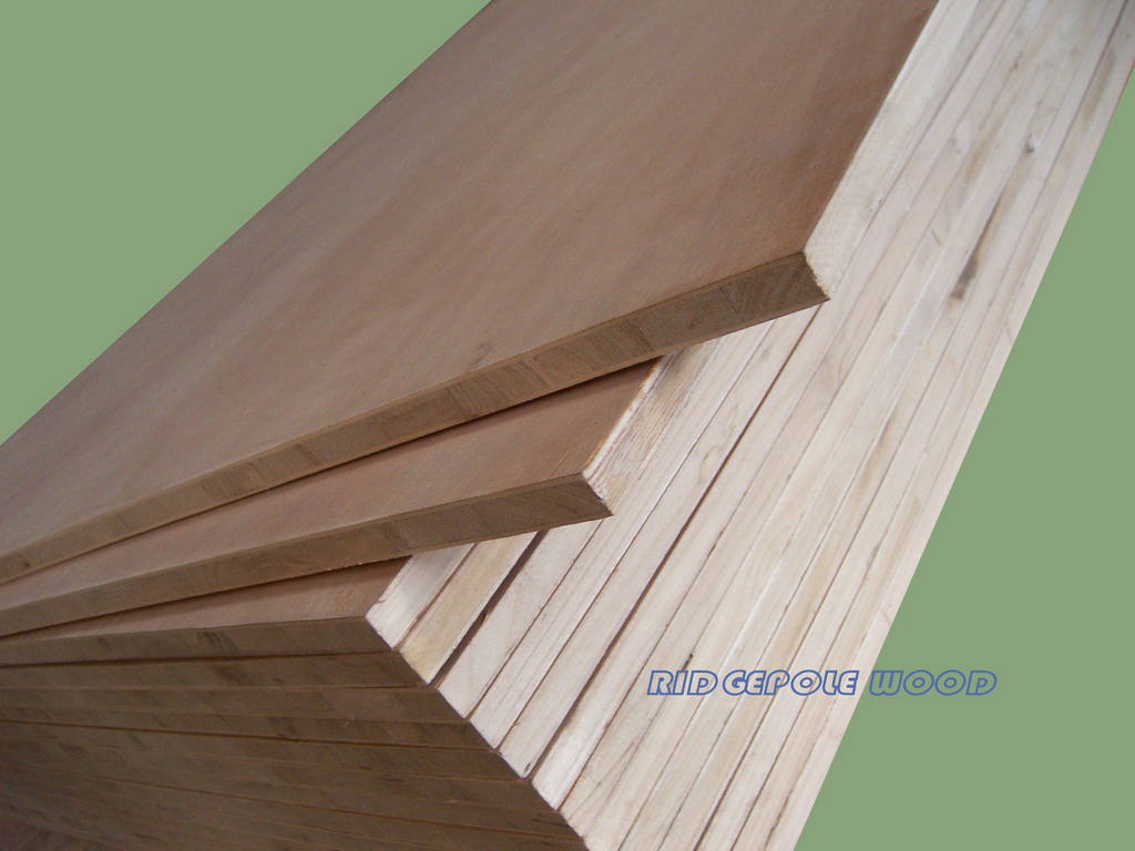 PLYWOOD (FSC  CE2+   ISO9001)