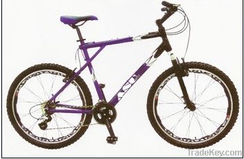 Moutain bike(MTB-2608)