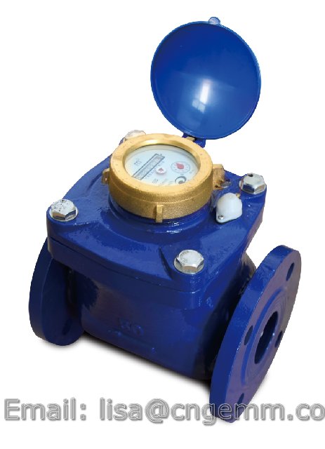 Removable Water Meter(Cold )