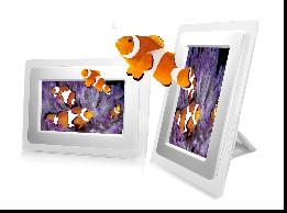 7 inch Digital Photo Frame