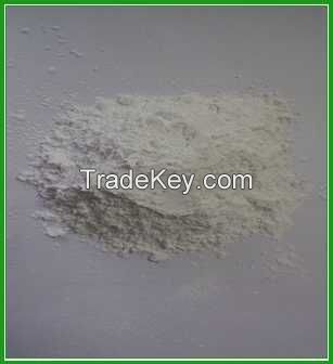 Talc Powder