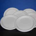 Biodegradable Plates