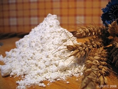 wheat flour