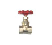 gate valve