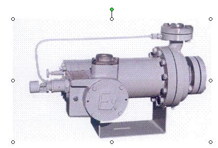 canned motor pump