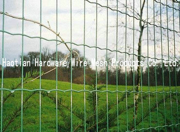 Wire Fence