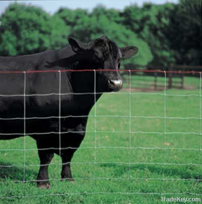 Cattle fencing /Field fencing (factory) in Minerals & Metallurgy