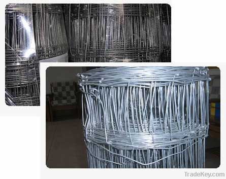 Hog wire fencing / field fence / pig fence (Manufacture & exporter)