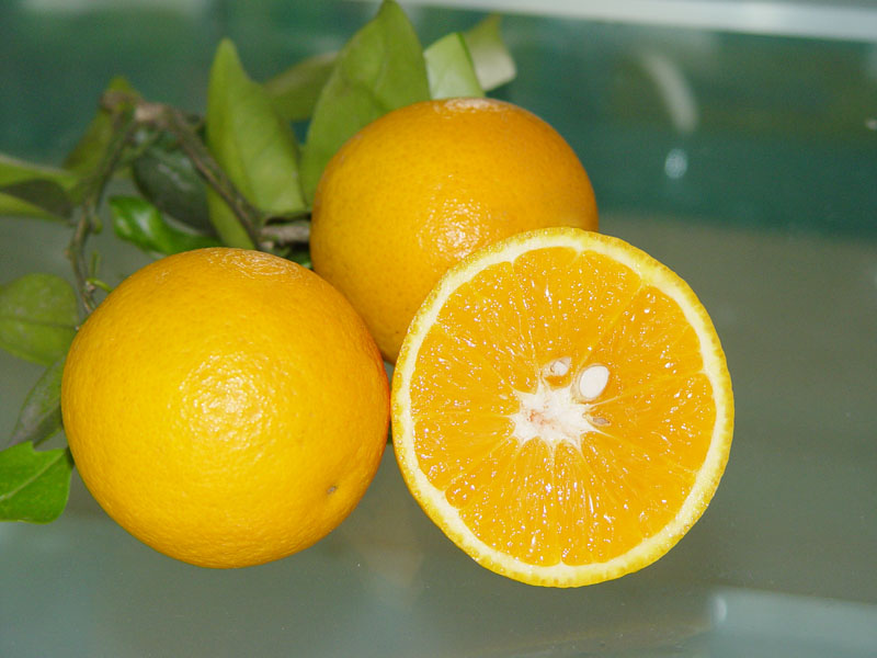 valencia orange