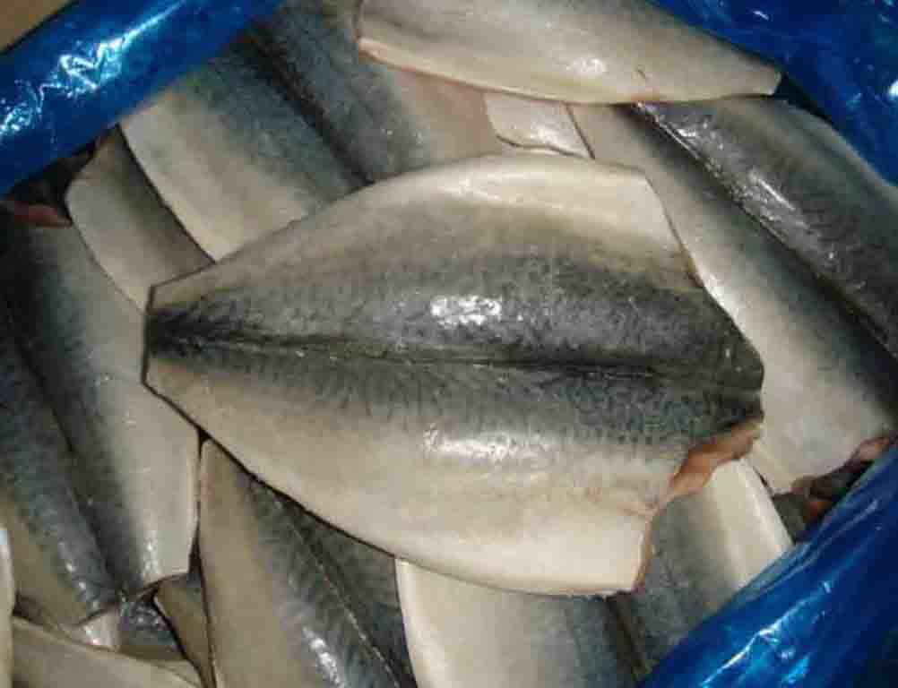 Mackerel ( Flaps and Fillets )