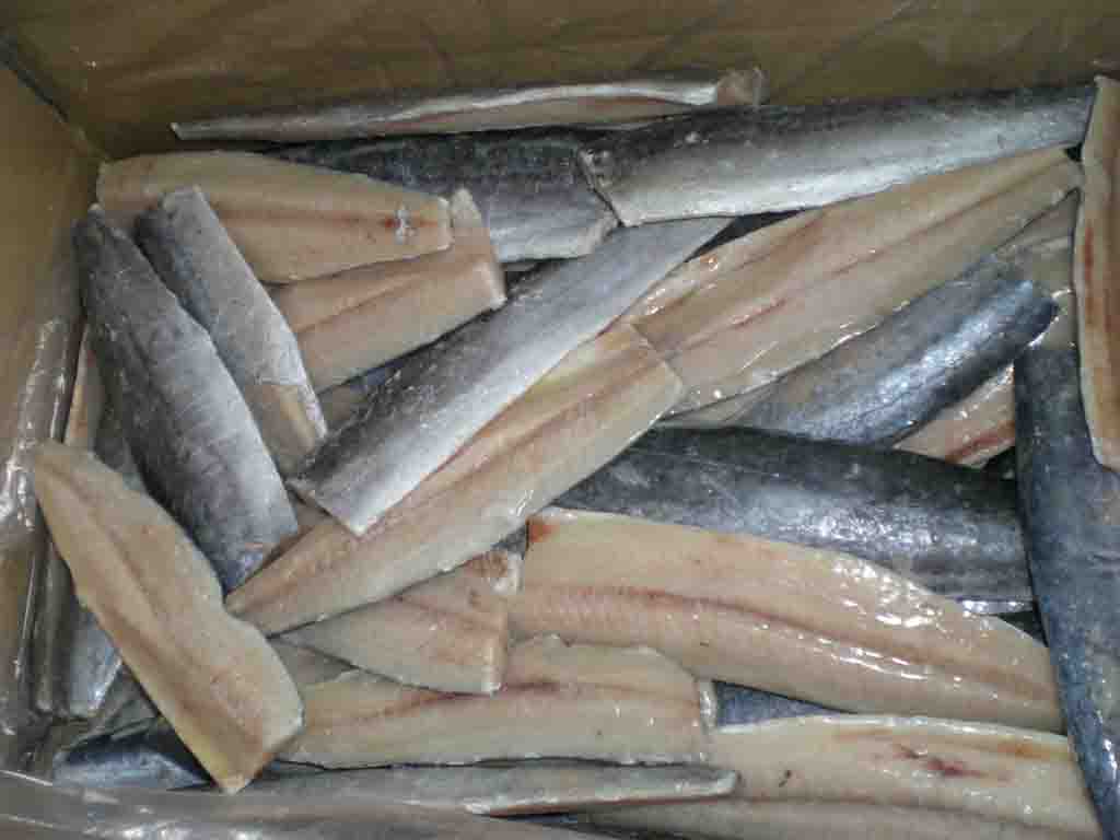 Spanish Mackerel Fillets