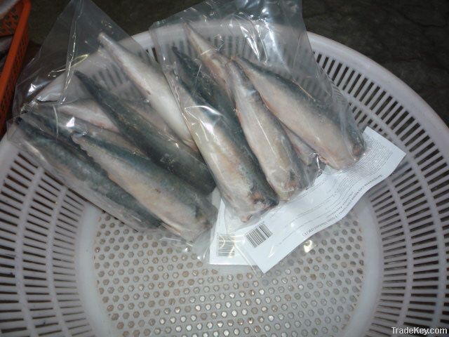 Mackerel HGT 