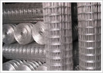 Welded Wire Mesh