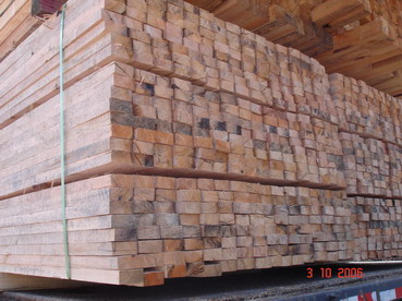 lumber pine eucalyptus
