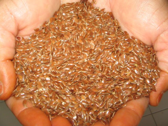 High Value Farm Fresh Flax seeds