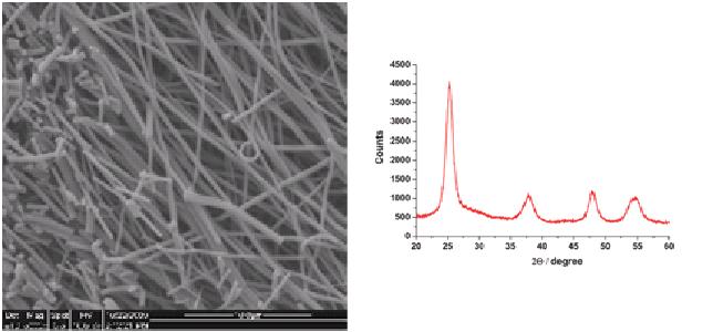 Inorganic TiO2 Nanofiber