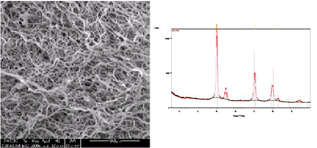 Inorganic ZrO2 nanofiber