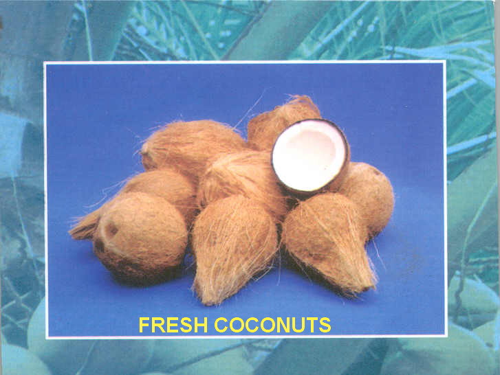 Coconut, Coconut husk chips, Coco peat, Desiccated coconut