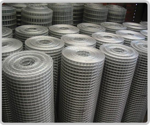 Welded Wire Mesh