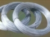 hot dipped galvanized iron wire