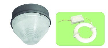 Ceiling induction  lamp/lvd