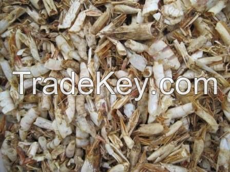 Dried Shrimp Shell