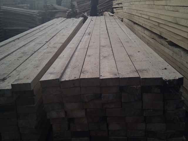 wood board and lumber from softwood