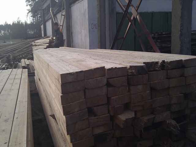 wood board and lumber from softwood