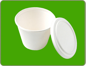 biodegradable  disposable bagasse bowl