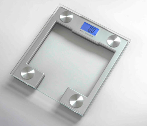 Digital Talking Glass Scale (WSA-2)