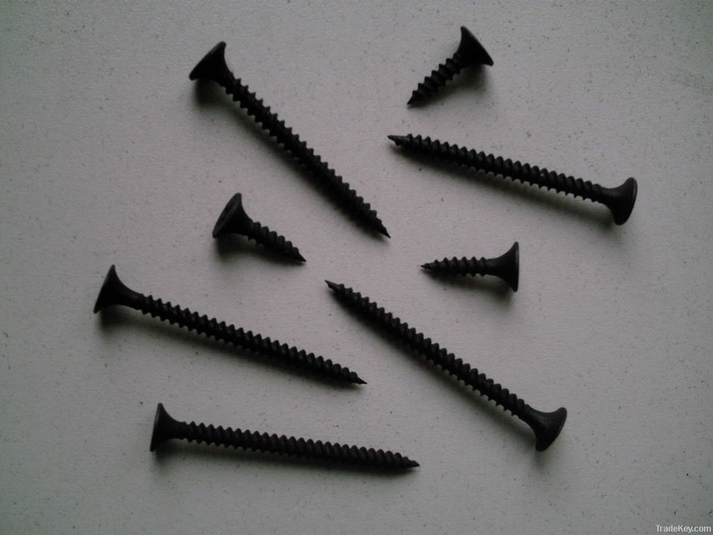 Gypsum Board Screw