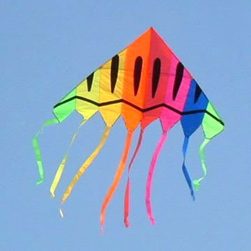 Kites